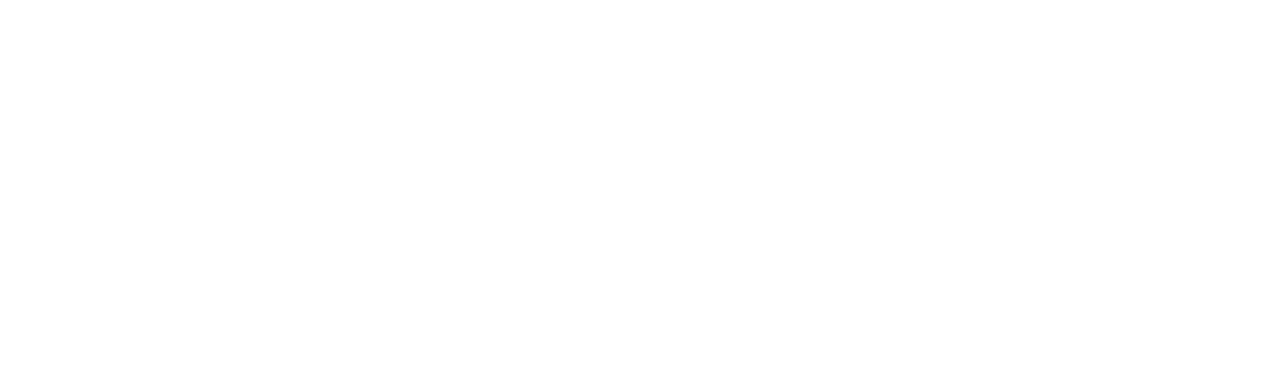Perladent Logo bianco
